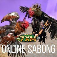 7XM Online Sabong Sports Betting
