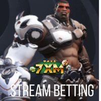 7XM Steam Betting Sports Betting