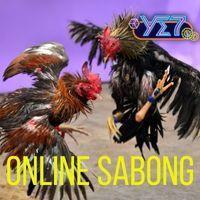 YE7 Online Sabong Sports Betting